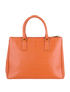 Double Zip Tote, back view